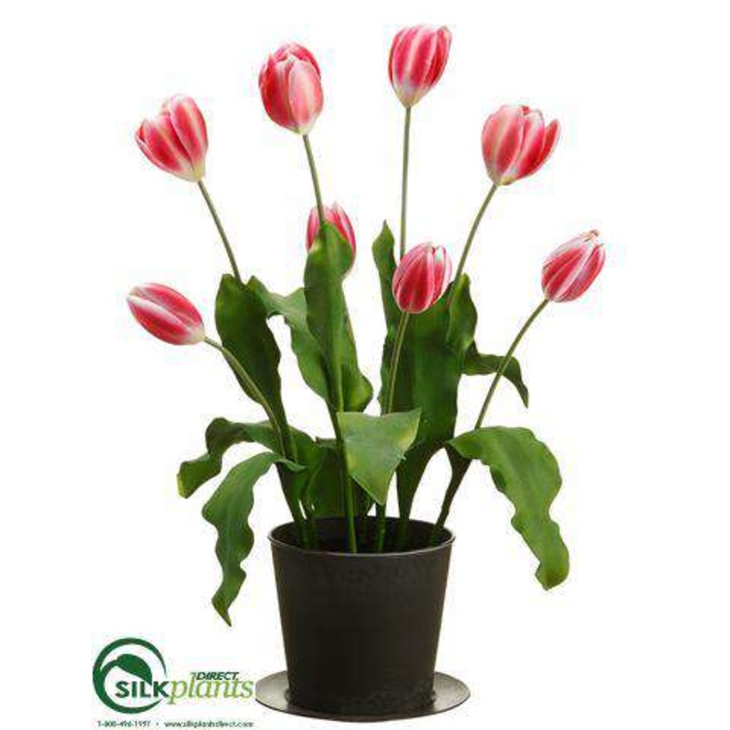 Silk Plants Direct Tulip – Watermelon – Pack of 2 Watermelon