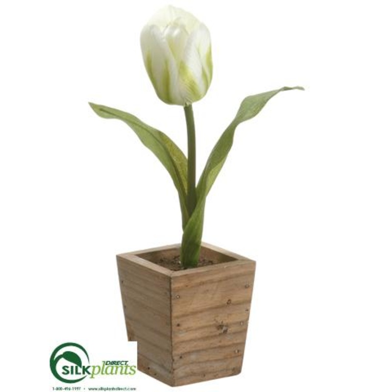 Silk Plants Direct Tulip – White Green – Pack of 12 White Green