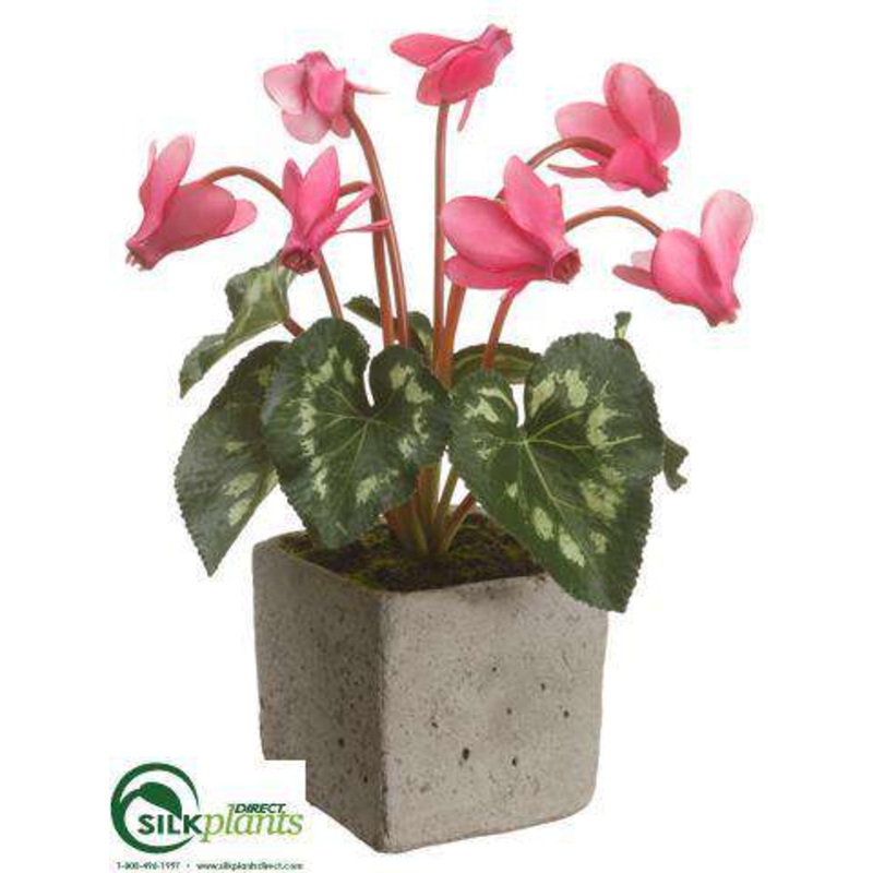Silk Plants Direct Cyclamen – Beauty – Pack of 6 Beauty