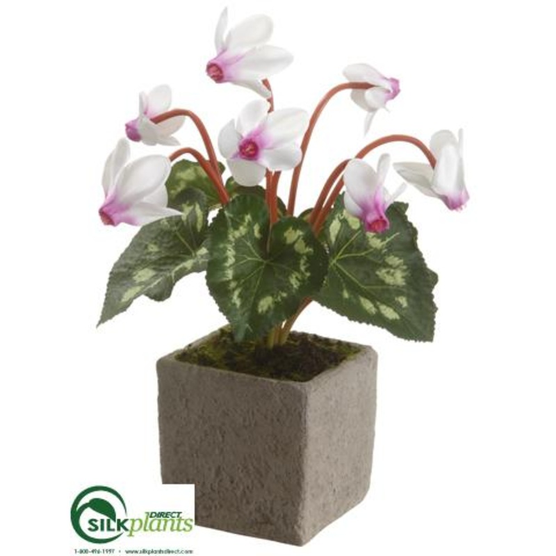 Silk Plants Direct Cyclamen – Cream Purple – Pack of 6 Cream Purple