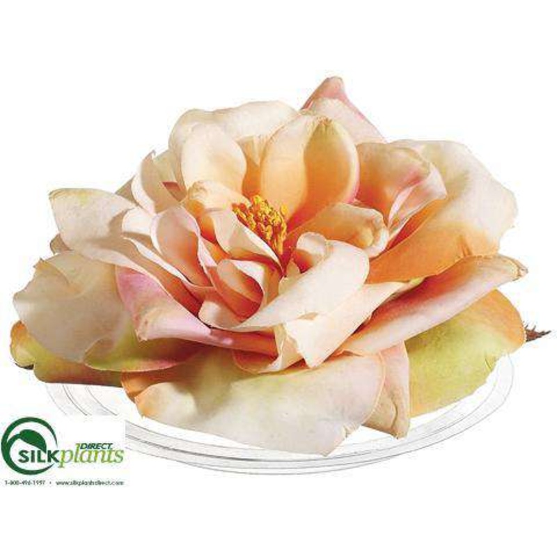 Silk Plants Direct Floating Rose – Peach – Pack of 12 Peach