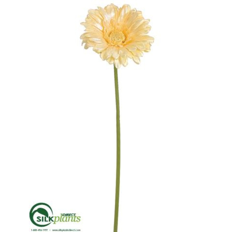 Silk Plants Direct Gerbera Daisy Spray – Yellow Pearl – Pack of 12 Yellow Pearl