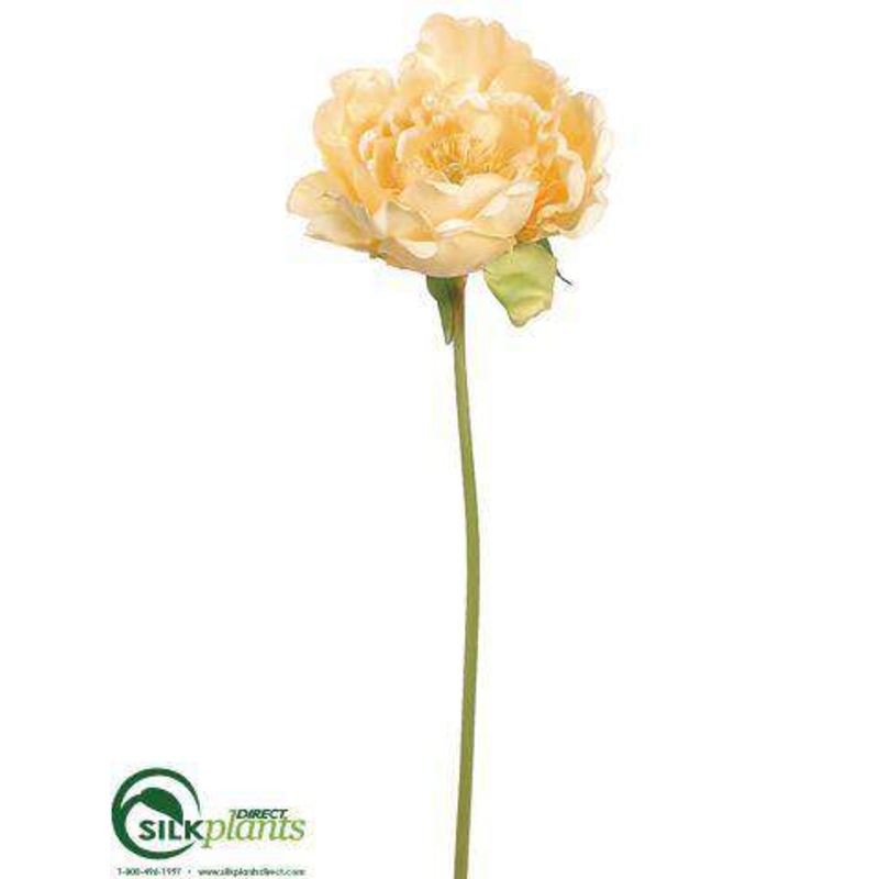 Silk Plants Direct Peony Spray – Yellow Pearl – Pack of 12 Yellow Pearl