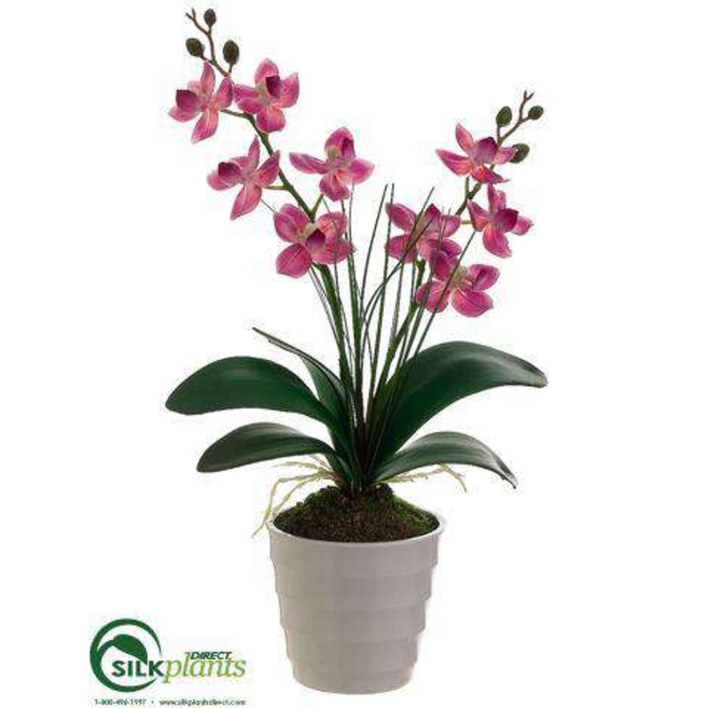 Silk Plants Direct Phalaenopsis Orchid Plant – Orchid – Pack of 12 White Green
