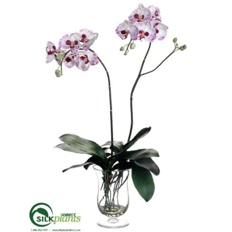 Silk Plants Direct Phalaenopsis Orchid Plant – White Orchid – Pack of 1 White Green