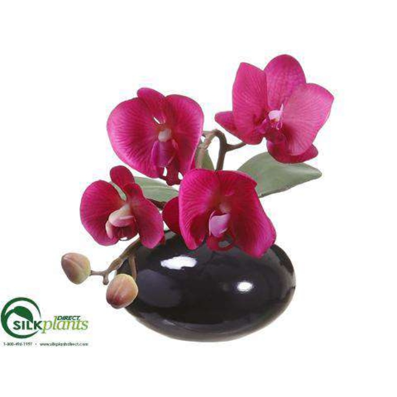 Silk Plants Direct Phalaenopsis Orchid – Violet Two Tone – Pack of 6 Violet Two Tone