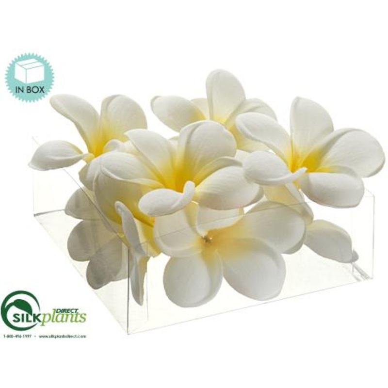 Silk Plants Direct Plumeria Petal – Cream – Pack of 24 Cream