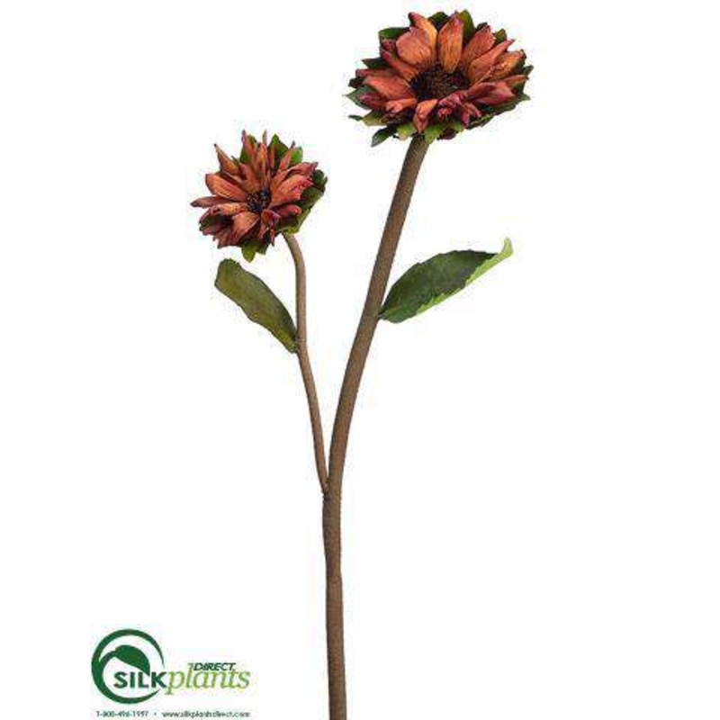 Silk Plants Direct Preserved Petal Sunflower Spray – Brown – Pack of 12 Brown