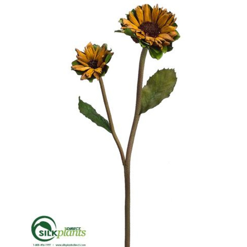 Silk Plants Direct Preserved Petal Sunflower Spray – Coffee – Pack of 12 Coffee