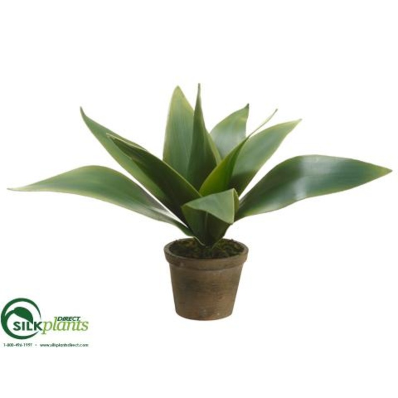 Silk Plants Direct Agave Plant – Green – Pack of 6 Green