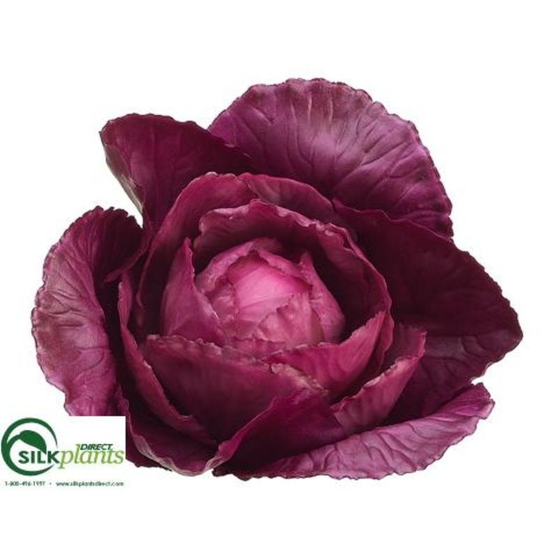 Silk Plants Direct Cabbage – Purple – Pack of 12 Purple