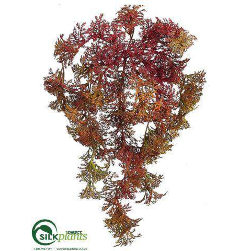 Silk Plants Direct Moss Pick – Burgundy Green – Pack of 12 Burgundy Green