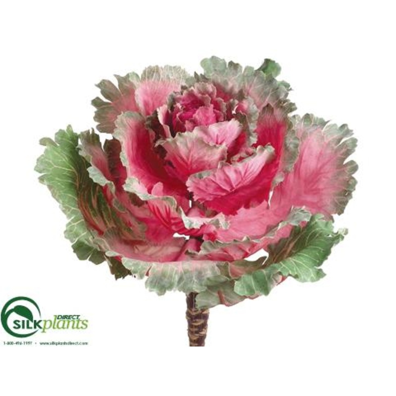 Silk Plants Direct Ornamental Cabbage – Cerise Green – Pack of 12 Cerise Green