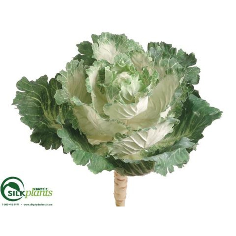 Silk Plants Direct Ornamental Cabbage – Cream Green – Pack of 12 Cream Green