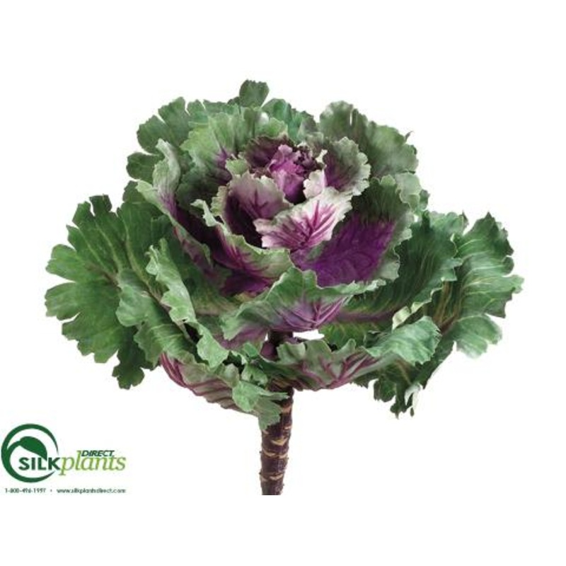 Silk Plants Direct Ornamental Cabbage – Purple Green – Pack of 12 Purple Green