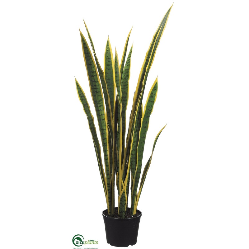 Silk Plants Direct Sansevieria Plant – Green Yellow – Pack of 2 Green Yellow