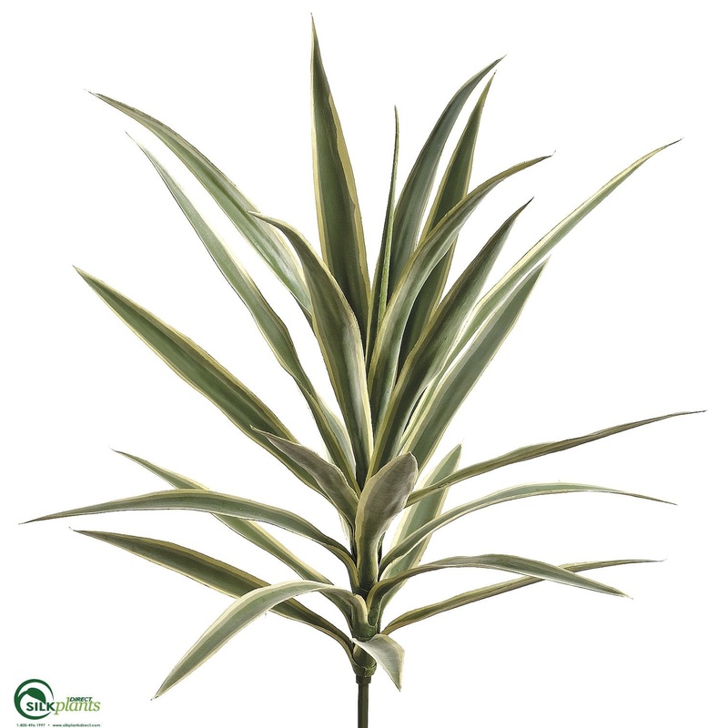 Silk Plants Direct Yucca Plant – Variegated – Pack of 3 Variegated