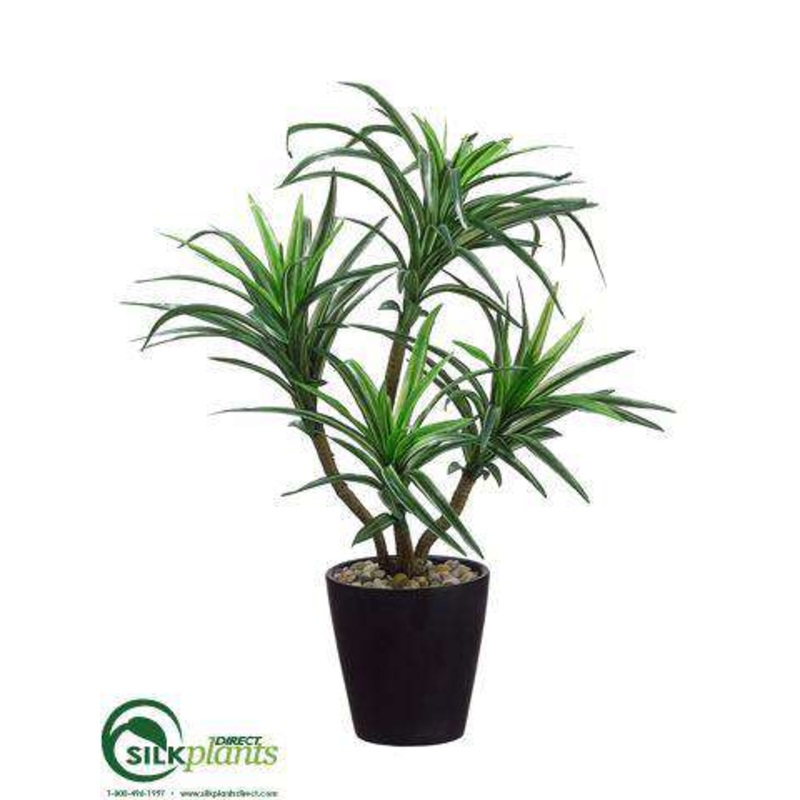 Silk Plants Direct Dracaena Plant – Green Variegated – Pack of 6 Green Variegated