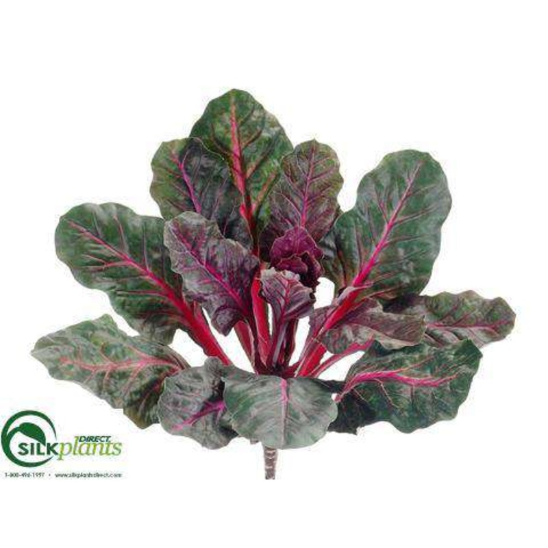 Silk Plants Direct Rhubarb Bush – Green Beauty – Pack of 6 Green Beauty