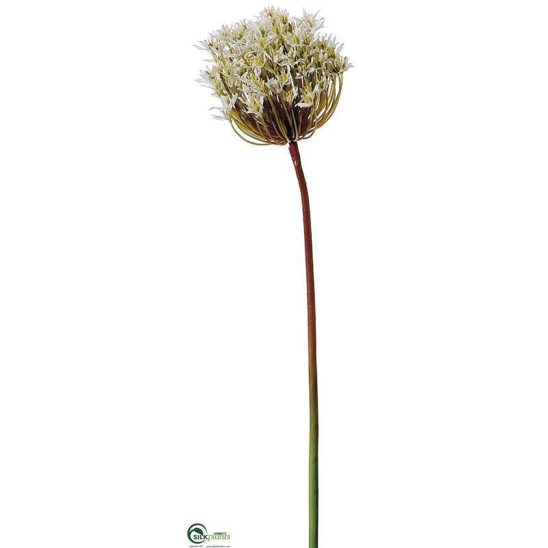 Silk Plants Direct Allium Spray – White – Pack of 12 White