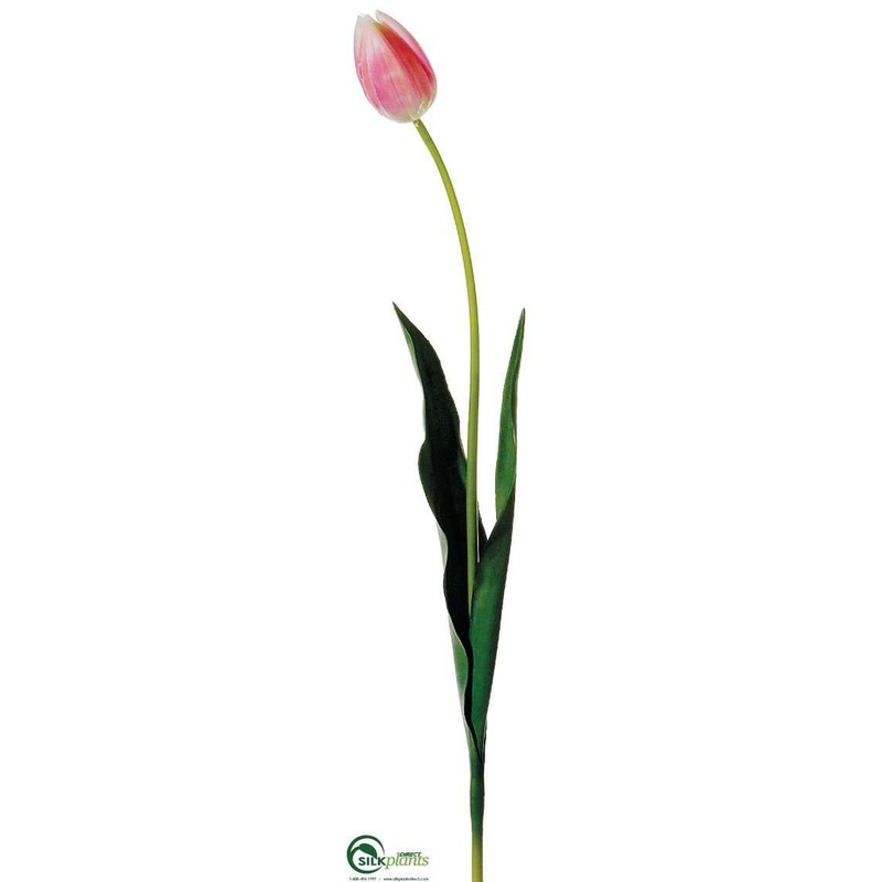 Silk Plants Direct Tulip Spray – Rose Cream – Pack of 12 Rose Cream