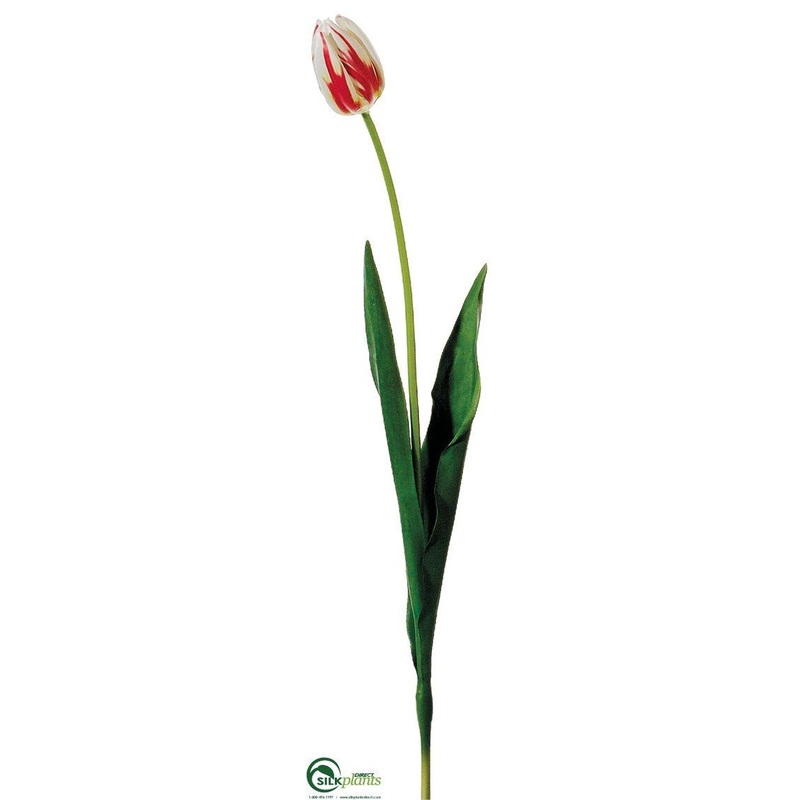 Silk Plants Direct Tulip Spray – White Red – Pack of 12 White Red