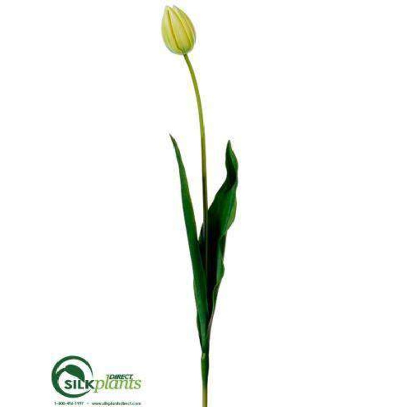 Silk Plants Direct Tulip Spray – Yellow Green – Pack of 12 Yellow Green