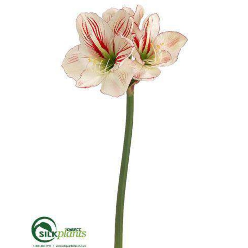 Silk Plants Direct Amaryllis Spray – White Red – Pack of 12 White Red