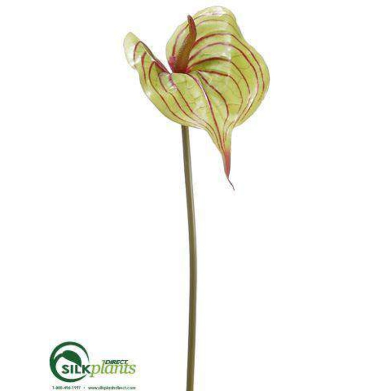 Silk Plants Direct Anthurium Spray – Green Burgundy – Pack of 12 Green Burgundy