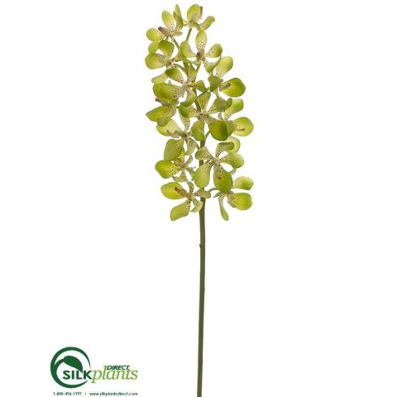 Silk Plants Direct Vanda Orchid Spray – Green – Pack of 12 Green