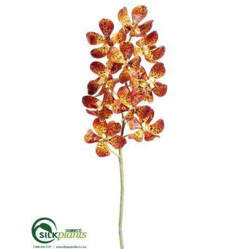 Silk Plants Direct Vanda Orchid Spray – Orange – Pack of 6 Orange