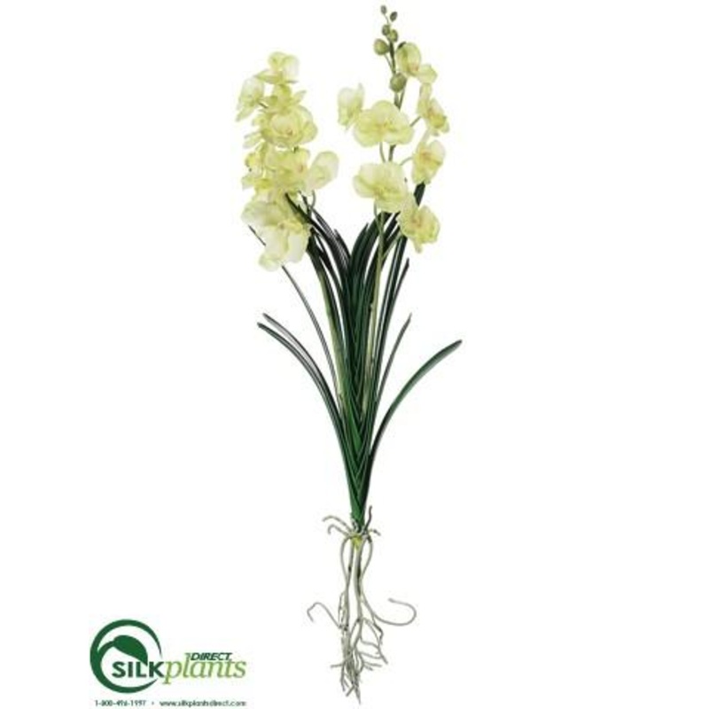 Silk Plants Direct Vanda Orchid Plant – Green – Pack of 6 Green