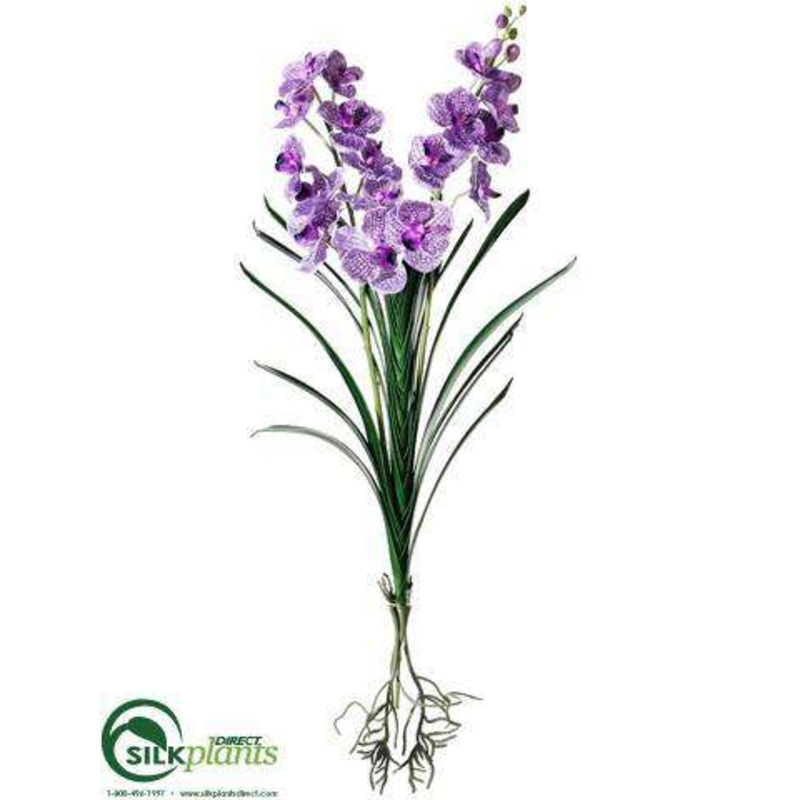 Silk Plants Direct Vanda Orchid Plant – Purple – Pack of 6 Purple