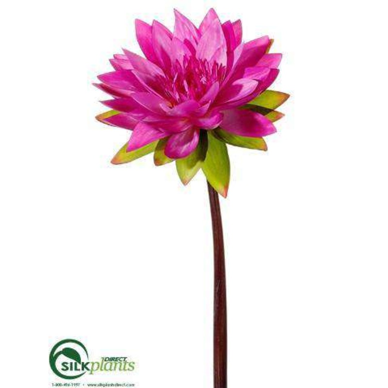 Silk Plants Direct Water Lily Spray – Rubrum – Pack of 6 Rubrum