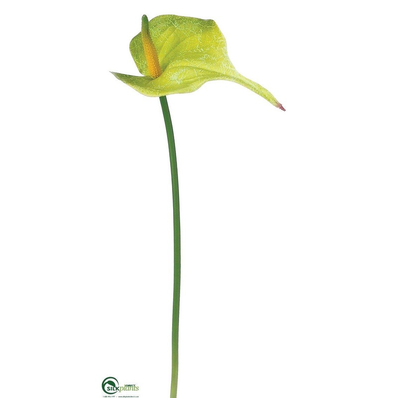 Silk Plants Direct Anthurium Spray – Green – Pack of 12 Green