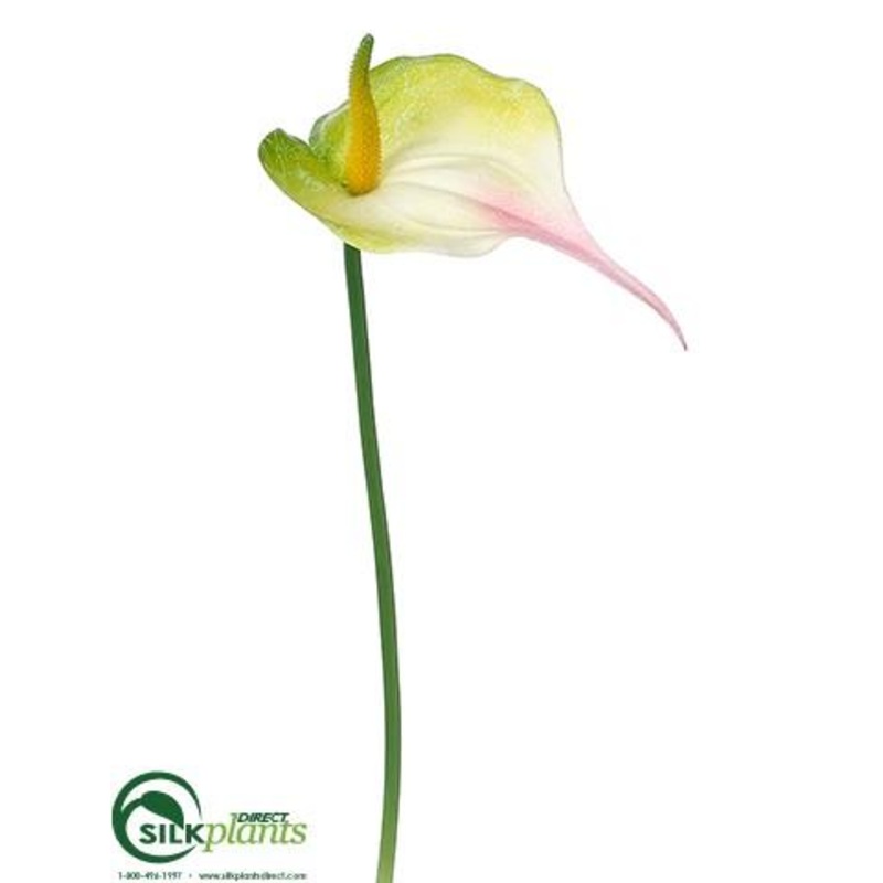 Silk Plants Direct Anthurium Spray – Green Pink – Pack of 12 Green Pink