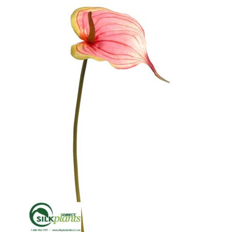 Silk Plants Direct Anthurium Spray – Pink Green – Pack of 12 Pink Green