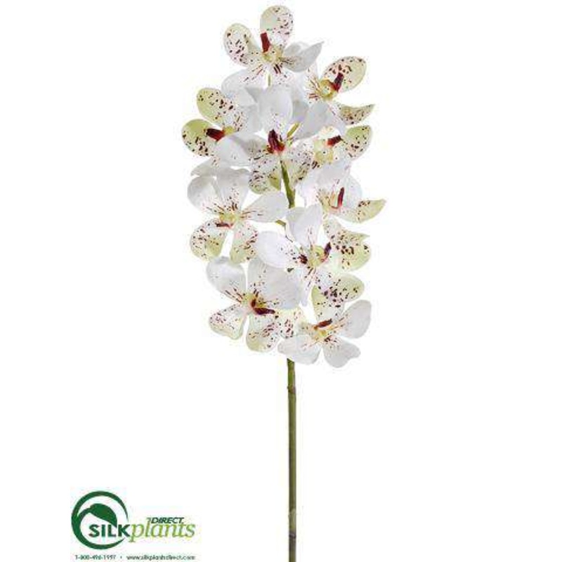 Silk Plants Direct Vanda Orchid Spray – Cream Burgundy – Pack of 6 Cream Burgundy