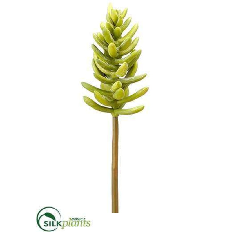 Silk Plants Direct Aeonium Pick – Green Gray – Pack of 12 Green Gray