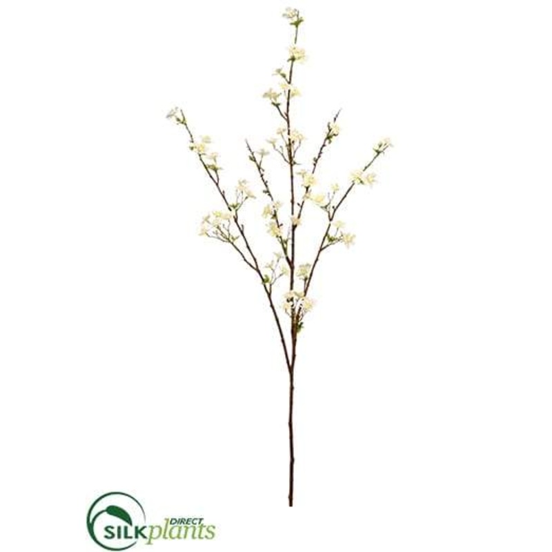 Silk Plants Direct Anisodontea Spray – Cream – Pack of 6 Cream
