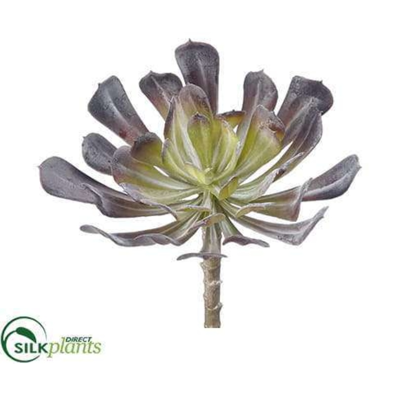 Silk Plants Direct Aeonium Pick – Green Burgundy – Pack of 24 Green Burgundy