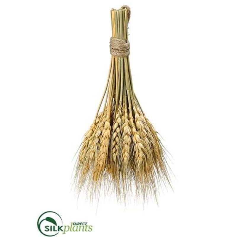 Silk Plants Direct Wheat Bundle – Natural – Pack of 6 Natural