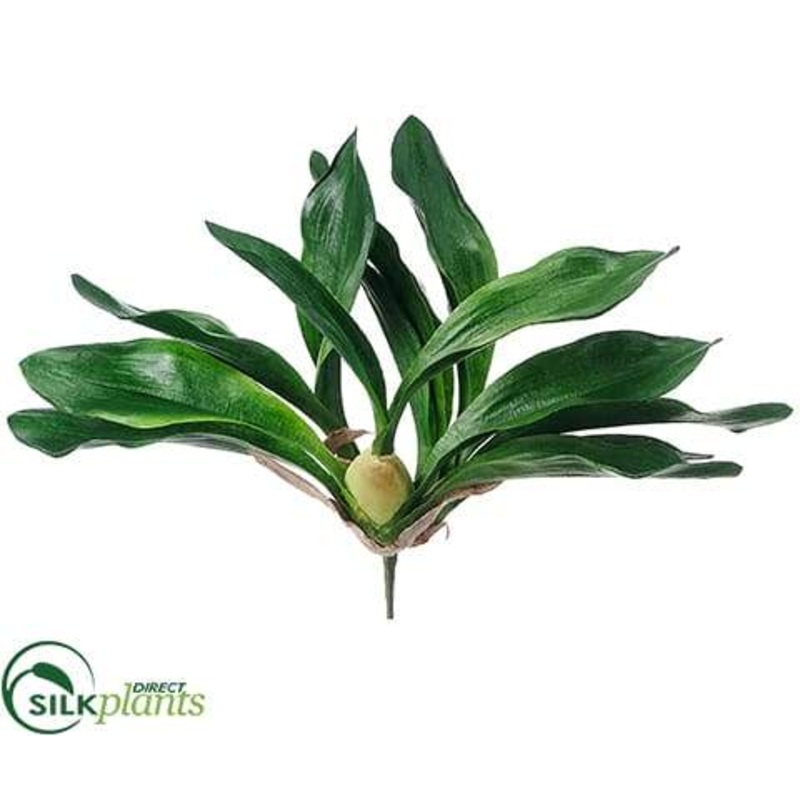 Silk Plants Direct Zygopetalum Orchid Plant – Green – Pack of 6 Green