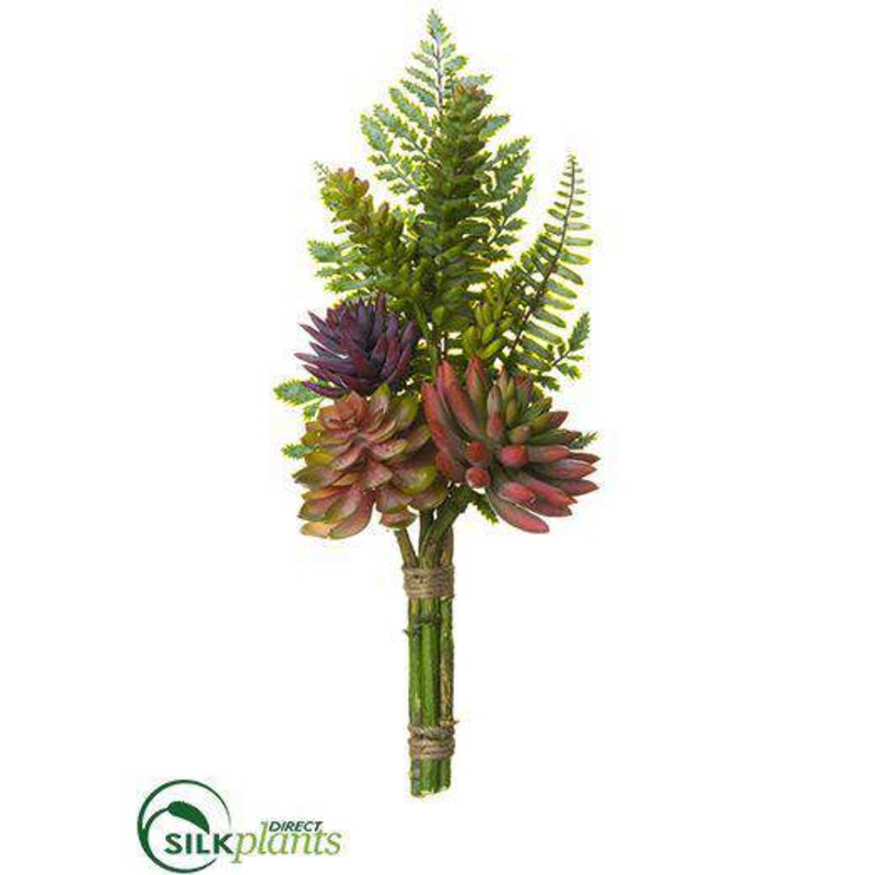 Silk Plants Direct Aeonium, Echeveria, Fern Bundle – Green Plum – Pack of 6 Green Plum