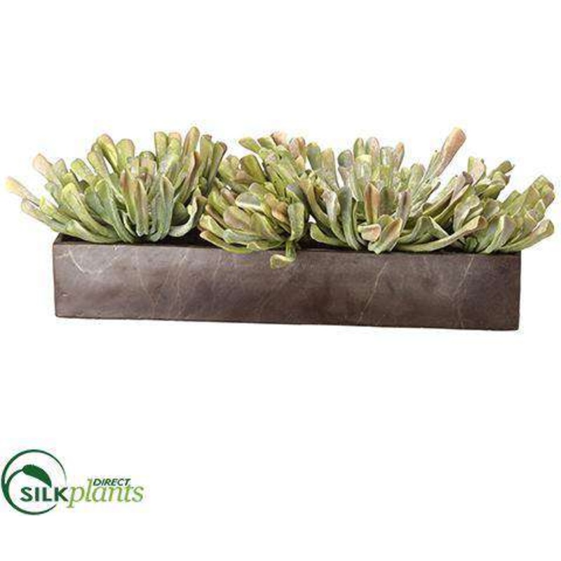 Silk Plants Direct Aeonium Centerpiece – Green Mauve – Pack of 1 Green Mauve