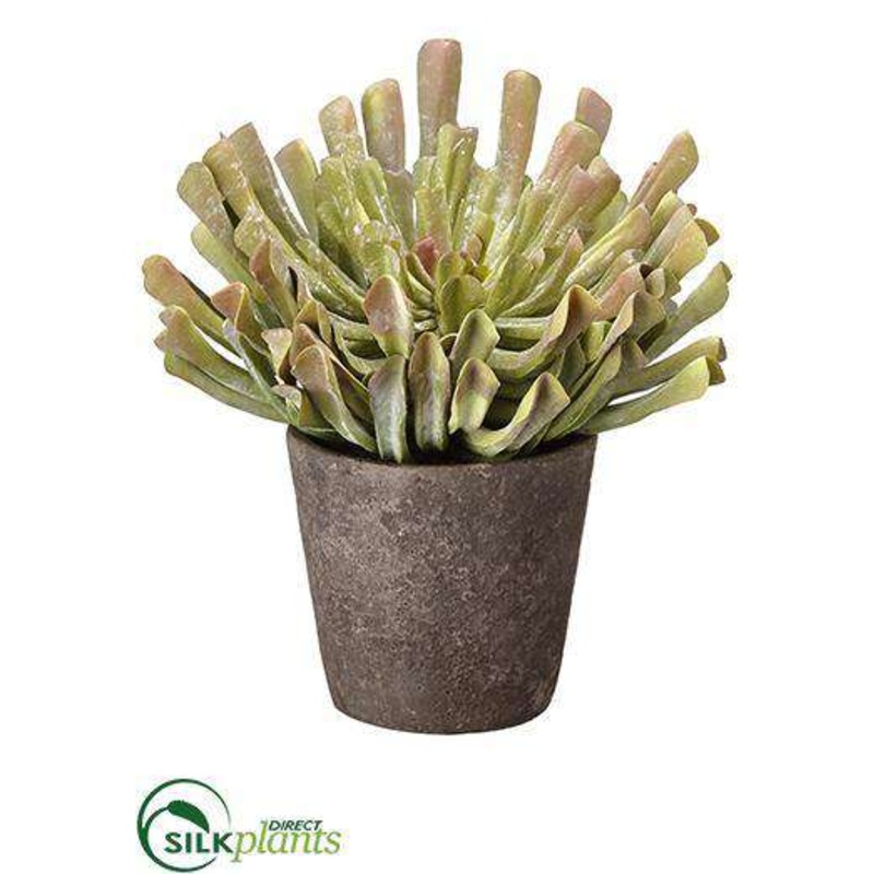 Silk Plants Direct Aeonium – Green Mauve – Pack of 1 Green Mauve
