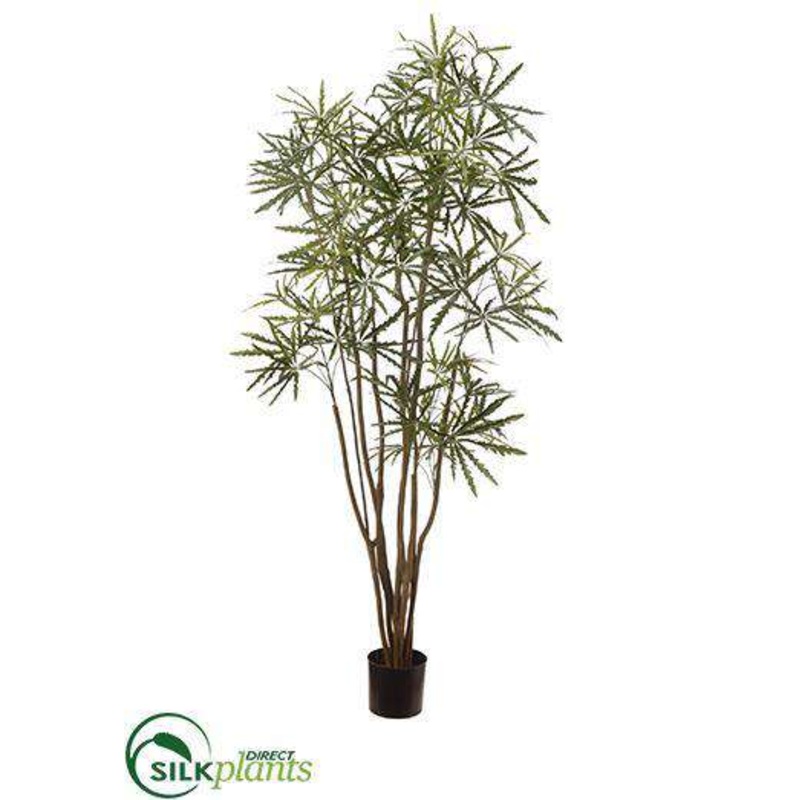 Silk Plants Direct Aralia Tree – Green – Pack of 2 Green