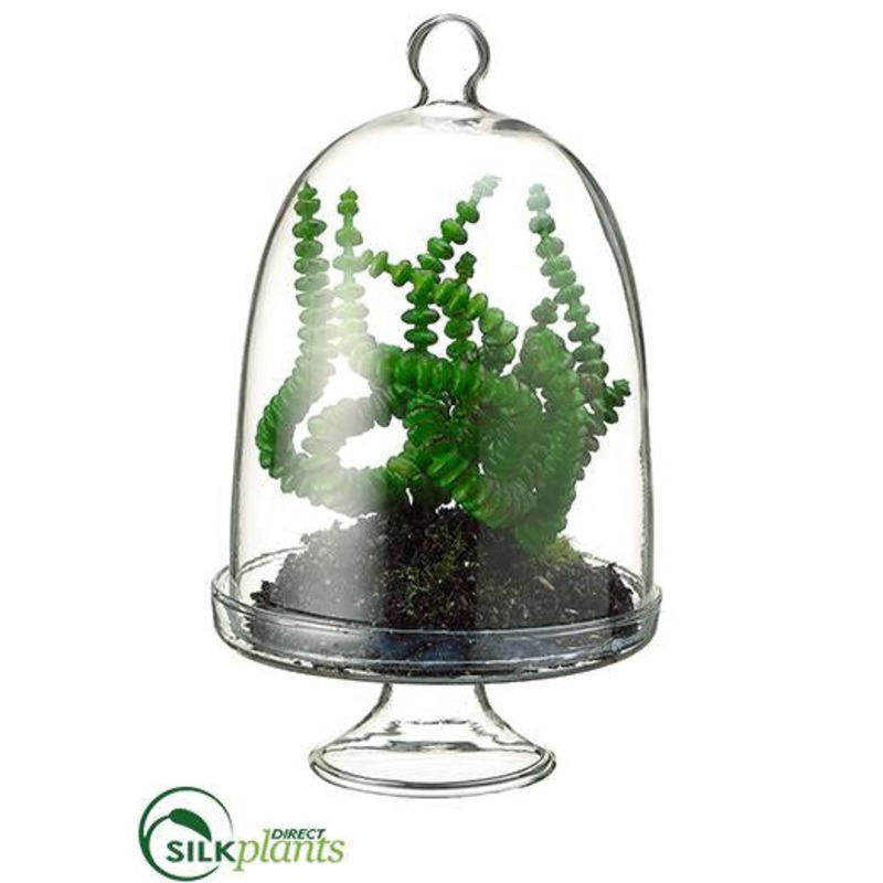 Silk Plants Direct Worm Succulent – Green – Pack of 48 Green