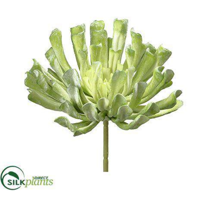 Silk Plants Direct Aeonium Pick – Green Flocked – Pack of 6 Green Mauve