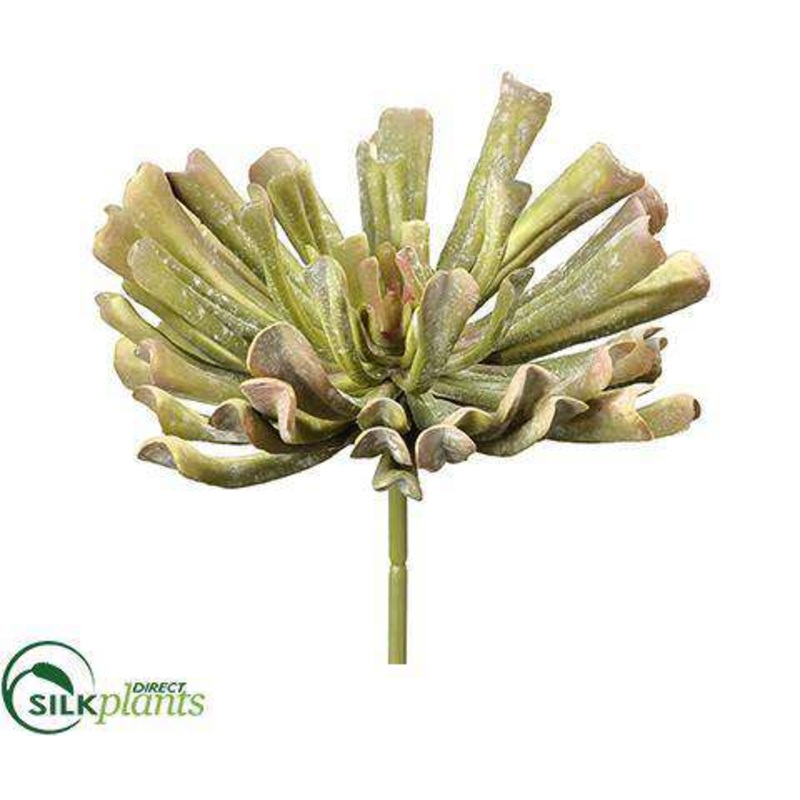 Silk Plants Direct Aeonium Pick – Green Mauve – Pack of 6 Green Flocked